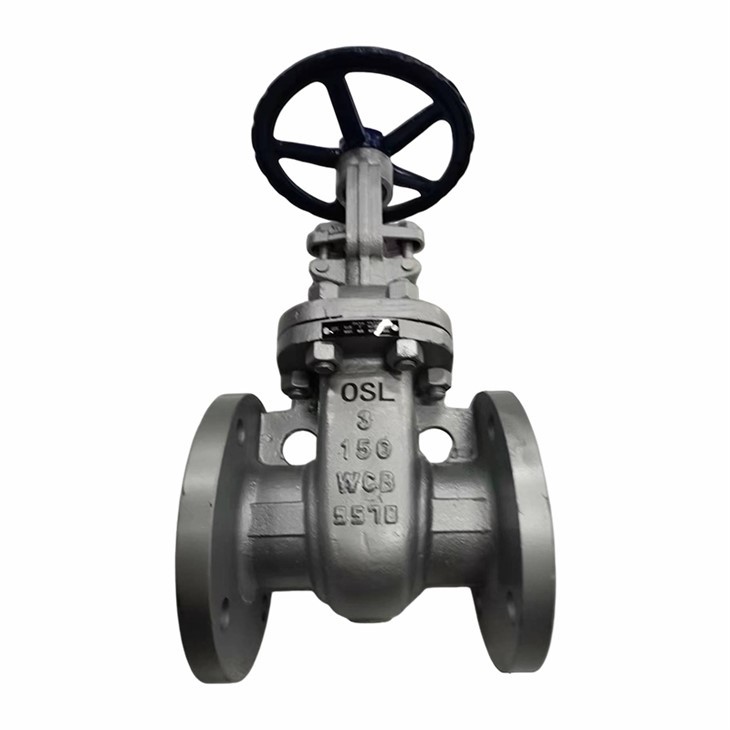 ANSI Stainless Steel Gate Valve suppliers