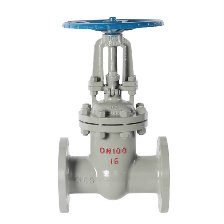 Cast Steel Gate Valve suppliers