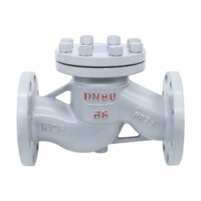 Förhindra återflödeslyftande backventil